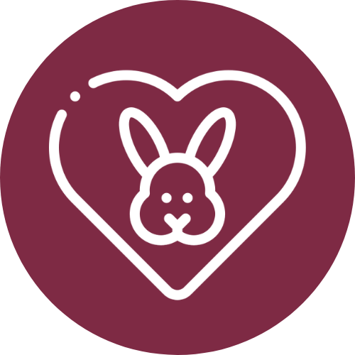Alt image