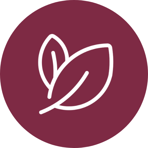 Alt image