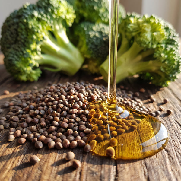 Broccoli Seed